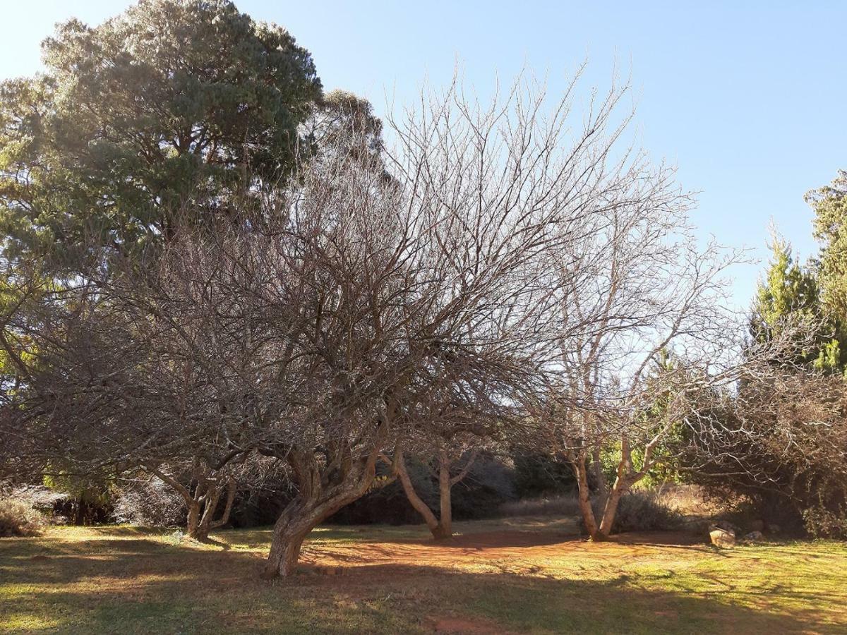 Dabchick Cottage Dullstroom Exterior photo