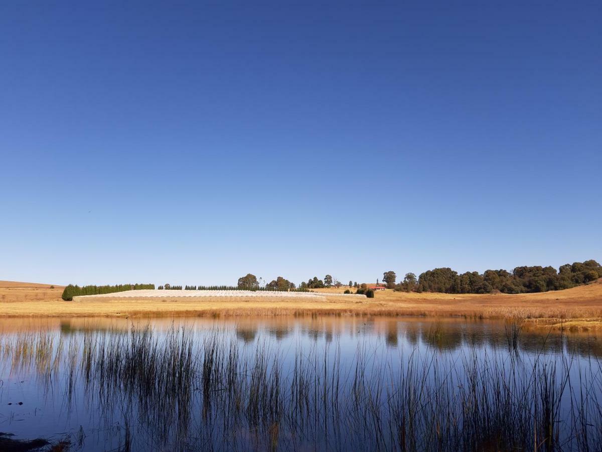 Dabchick Cottage Dullstroom Exterior photo